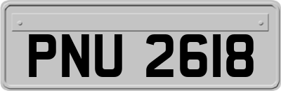 PNU2618