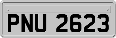 PNU2623