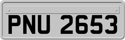 PNU2653