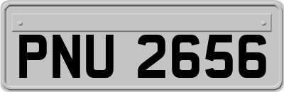 PNU2656