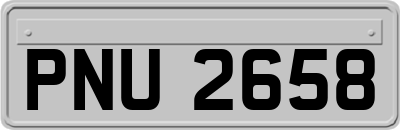 PNU2658