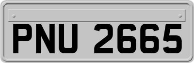 PNU2665