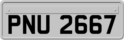PNU2667