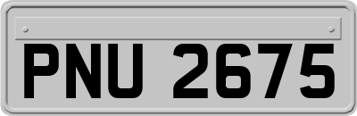 PNU2675