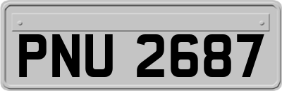 PNU2687