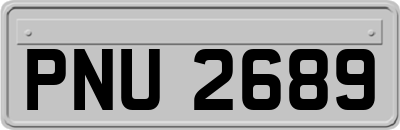 PNU2689