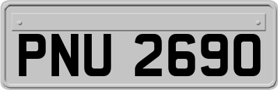 PNU2690