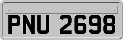 PNU2698