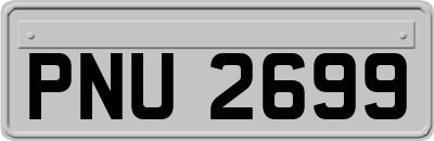 PNU2699