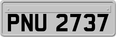 PNU2737