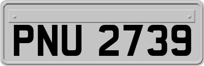 PNU2739