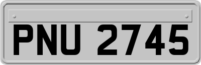 PNU2745