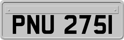 PNU2751