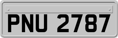 PNU2787