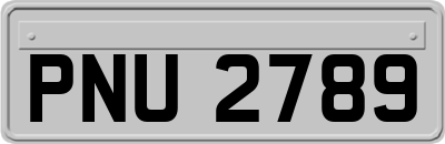 PNU2789
