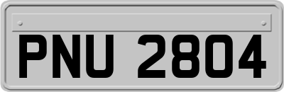PNU2804