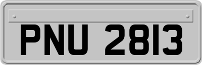 PNU2813