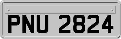 PNU2824