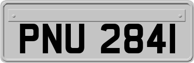 PNU2841