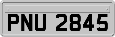 PNU2845