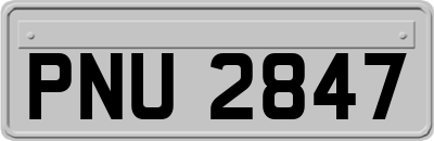 PNU2847