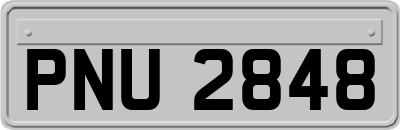 PNU2848
