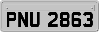 PNU2863