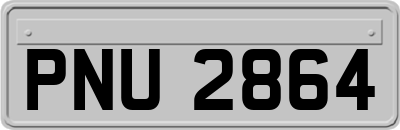 PNU2864