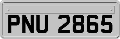 PNU2865