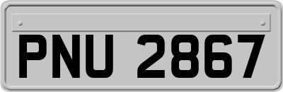 PNU2867