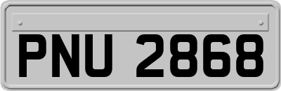 PNU2868