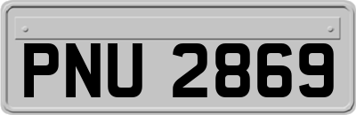 PNU2869