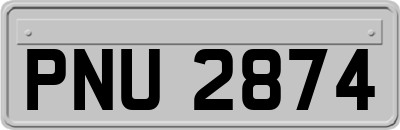 PNU2874