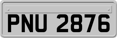 PNU2876