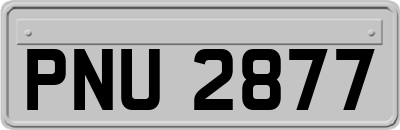 PNU2877