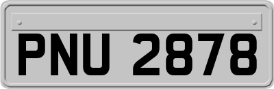 PNU2878