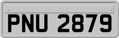 PNU2879