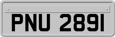 PNU2891