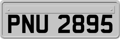 PNU2895