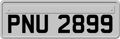 PNU2899