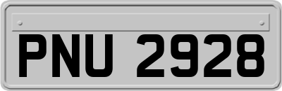 PNU2928