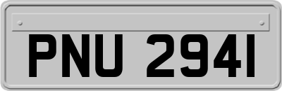 PNU2941