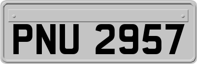 PNU2957