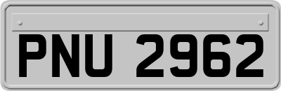 PNU2962
