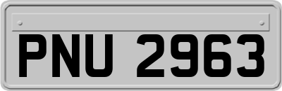 PNU2963
