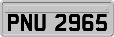 PNU2965
