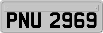 PNU2969