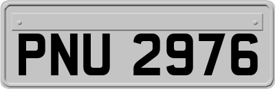 PNU2976