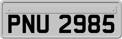 PNU2985