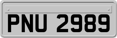 PNU2989